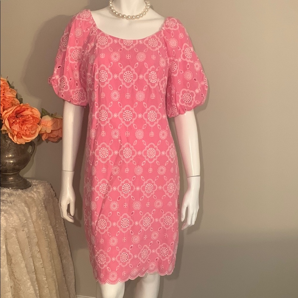 🌸Gorgeous Talbots Pink & White Puff Sleeve Dress 4